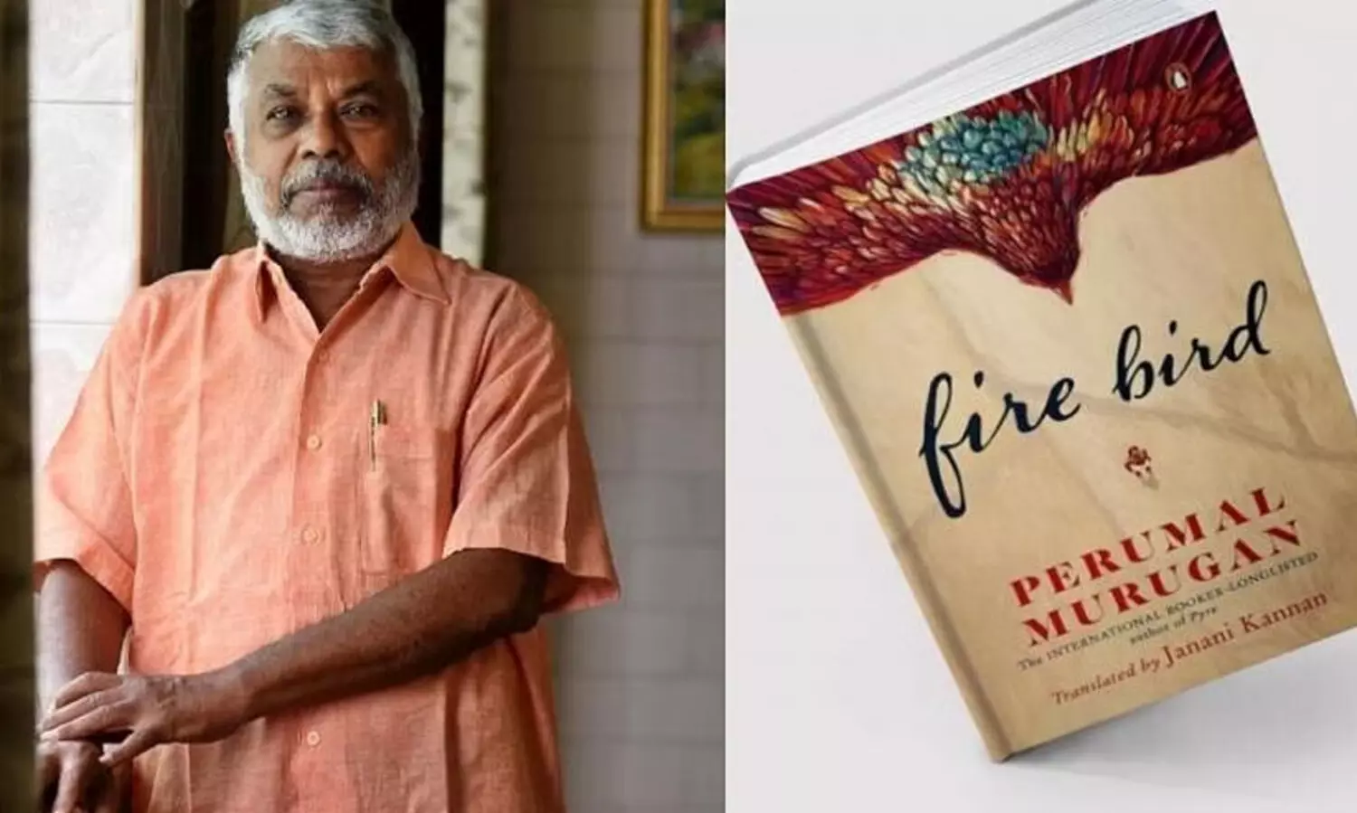 ജെ.സി.ബി പു​രസ്കാരം പെരുമാൾ മുരുക​​െൻറ ഫയർ ബേഡിന്