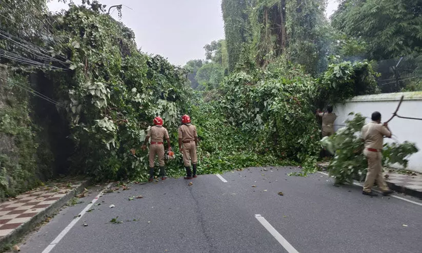 ഫയർ ഫോഴ്സിനെ വലച്ച വല്ലാത്തൊരു വള്ളിക്കെട്ട്