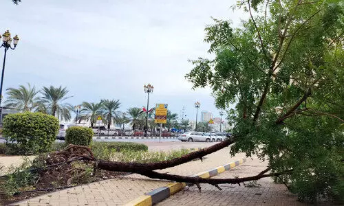 രാജ്യത്ത് മഴക്ക് പിന്നാലെ താപനില കുറയും രാജ്യത്ത് മഴക്ക് പിന്നാലെ താപനില കുറയും