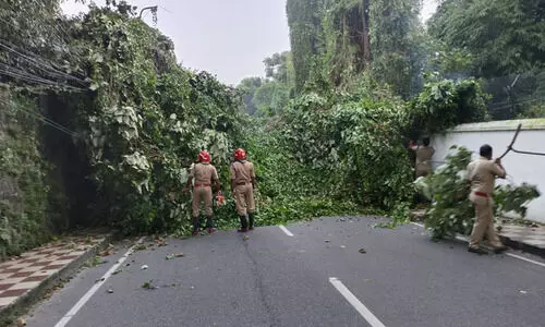 ഫയർ ഫോഴ്സിനെ വലച്ച വല്ലാത്തൊരു വള്ളിക്കെട്ട്