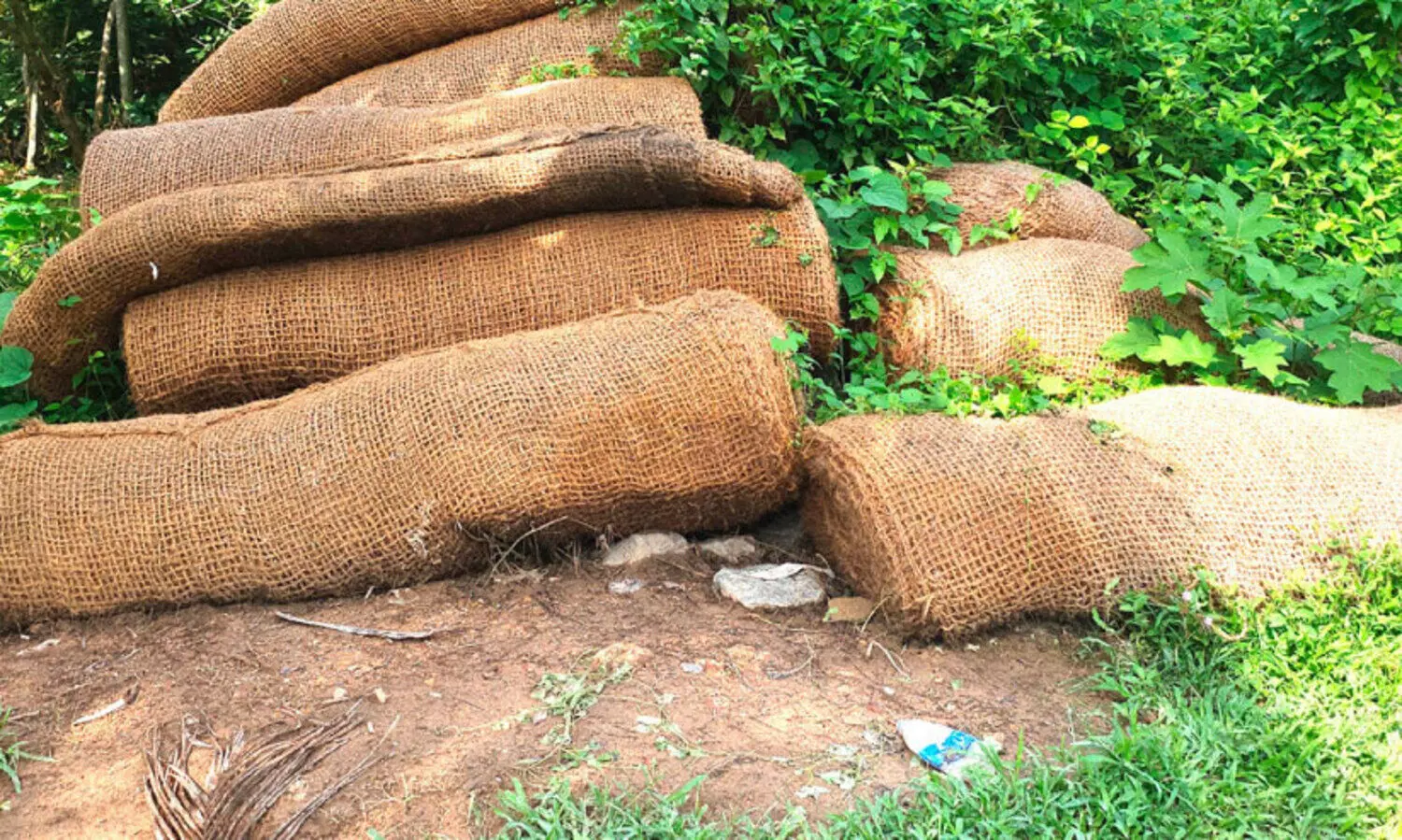 ക്ലേ​മൈ​ന്‍സി​ന് പു​ത​പ്പാ​കാ​നെ​ത്തി​യ ക​യ​ര്‍ ഭൂ​വ​സ്ത്രം ന​ശി​ക്കു​ന്നു