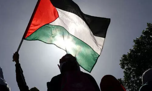 palestine flag