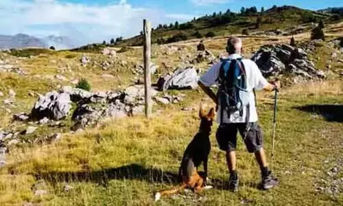 ട്രെക്കിങ്ങിന് പോയി കാണാതായ 71കാരന്‍റെ മൃതദേഹത്തിന് മാസങ്ങളോളം കാവലായി വളർത്തുനായ്