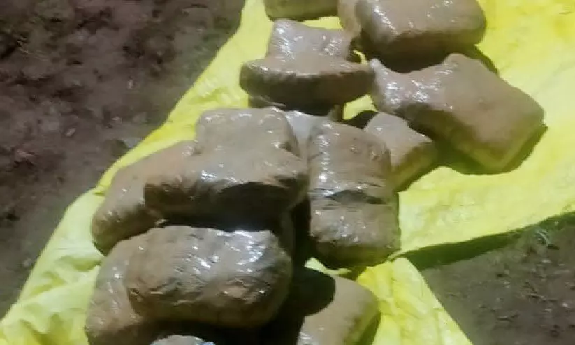 cannabis case cannabis case