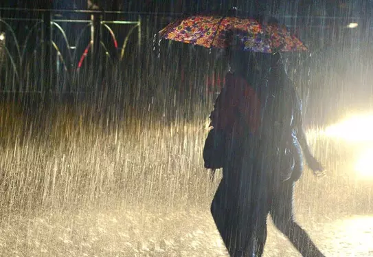 മാറാതെ മഴ; തോരാതെ കർഷകരുടെ കണ്ണീർ മാറാതെ മഴ; തോരാതെ കർഷകരുടെ കണ്ണീർ