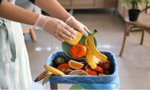 വീടുകളിൽ ഭക്ഷണം പാഴാക്കിയാൽ പിഴ