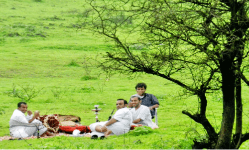 ഖ​രീ​ഫ്​ സീ​സ​ണി​ൽ സ​ലാ​ല​യി​ൽ​നി​ന്നു​ള്ള കാ​ഴ്ച