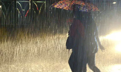 മാറാതെ മഴ; തോരാതെ കർഷകരു​ടെ കണ്ണീർ