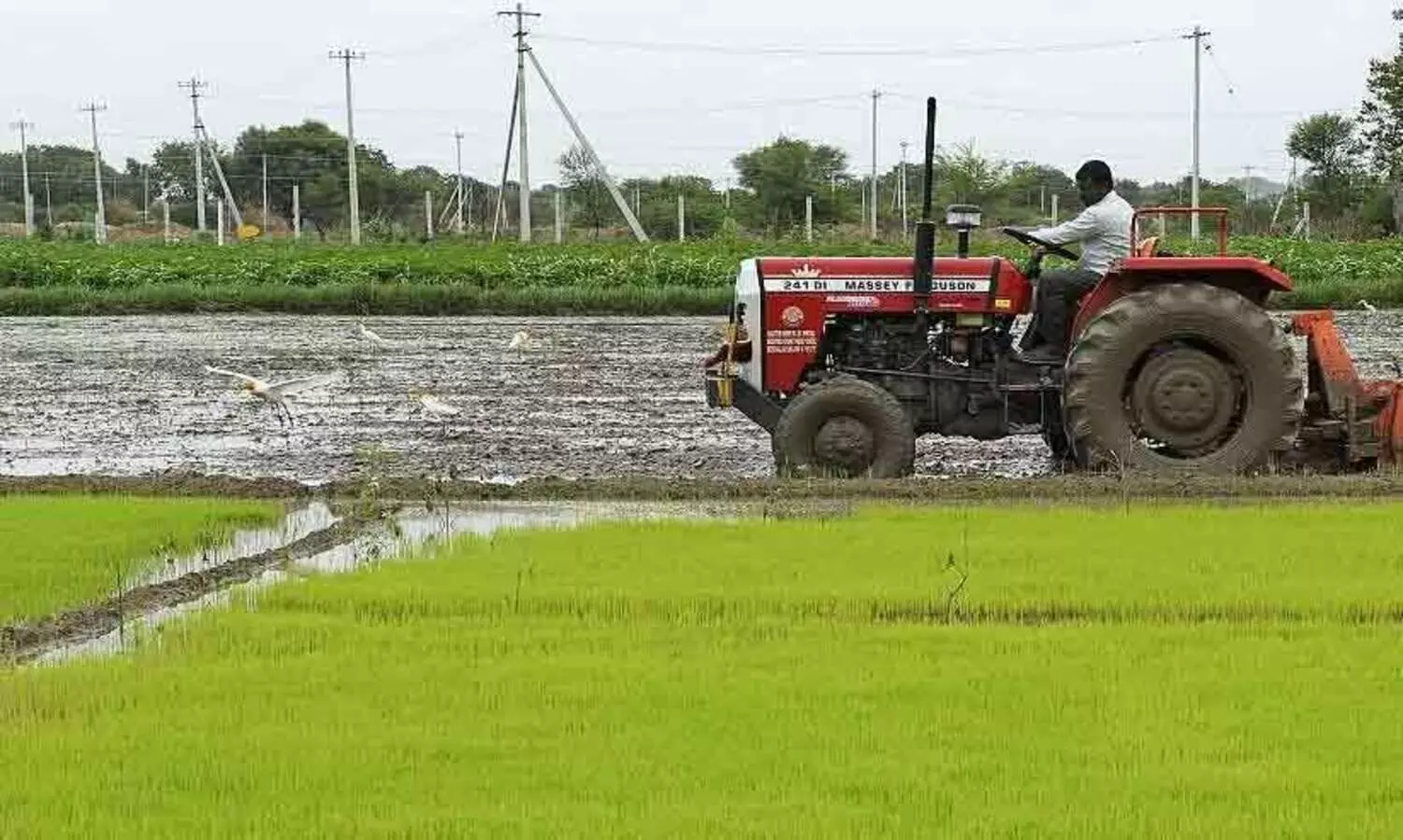 സംസ്ഥാനത്ത് കാർഷിക കടാശ്വാസത്തിനായി 18.54 കോടി അനുവദിച്ചു