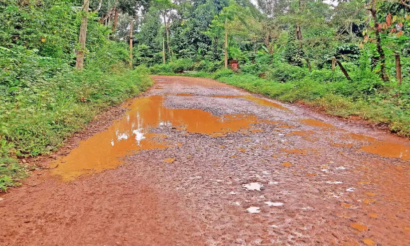 Pulinjal Road
