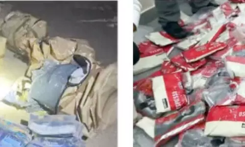 വൻ മയക്കുമരുന്നുവേട്ട: 500 കിലോ ഹഷീഷ് കടത്താനുള്ള ശ്രമം തടഞ്ഞു വൻ മയക്കുമരുന്നുവേട്ട: 500 കിലോ ഹഷീഷ് കടത്താനുള്ള ശ്രമം തടഞ്ഞു