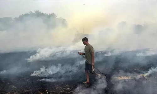 ഇത് നിയന്ത്രിക്കേണ്ടത് നിങ്ങളുടെ ജോലി: മലിനീകരണ വിഷയത്തിൽ ഡൽഹി സർക്കാരിനെ വിമർശിച്ച് സുപ്രീം കോടതി
