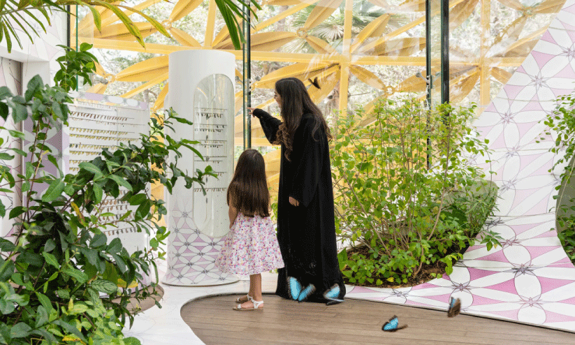 അൽനൂർ ദ്വീപിലെ ശലഭവീട്ടിലെ ദൃശ്യം അൽനൂർ ദ്വീപിലെ ശലഭവീട്ടിലെ ദൃശ്യം