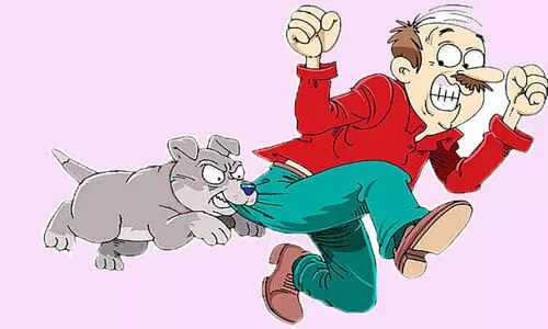 നായ്പ്പേടിയിൽ നാട് നായ്പ്പേടിയിൽ നാട്