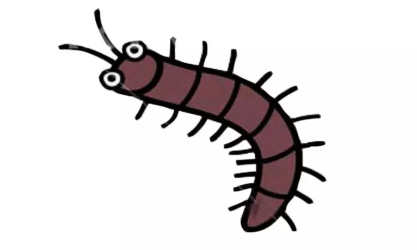 നാടാകെ പുഴുശല്യം പൊറുതിമുട്ടി ജനം നാടാകെ പുഴുശല്യം പൊറുതിമുട്ടി ജനം