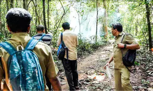 കാട്ടാനകളെ തുരത്താൻ ദൗത്യത്തിന് തുടക്കം