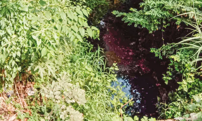 ചേരാമംഗലം കനാലുകൾ നന്നാക്കാൻ 25.30 ലക്ഷം ചേരാമംഗലം കനാലുകൾ നന്നാക്കാൻ 25.30 ലക്ഷം