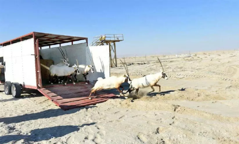 ഇ​ക്കോ ടൂ​റി​സം വി​ക​സ​ന​ത്തി​ന് ഖ​ത്ത​ർ ടൂ​റി​സ​വും പ​രി​സ്ഥി​തി മ​ന്ത്രാ​ല​യ​വും