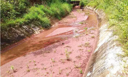 നീരൊഴുക്ക് നിലച്ചു; പലകപ്പാണ്ടി കനാലിൽ അടിഞ്ഞ ചെളി നീക്കണമെന്ന് കർഷകർ നീരൊഴുക്ക് നിലച്ചു; പലകപ്പാണ്ടി കനാലിൽ അടിഞ്ഞ ചെളി നീക്കണമെന്ന് കർഷകർ