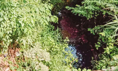 ചേരാമംഗലം കനാലുകൾ നന്നാക്കാൻ 25.30 ലക്ഷം ചേരാമംഗലം കനാലുകൾ നന്നാക്കാൻ 25.30 ലക്ഷം