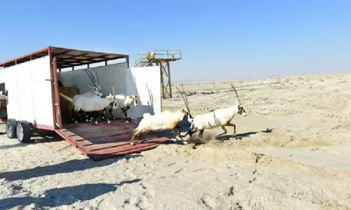 ഇ​ക്കോ ടൂ​റി​സം വി​ക​സ​ന​ത്തി​ന് ഖ​ത്ത​ർ ടൂ​റി​സ​വും പ​രി​സ്ഥി​തി മ​ന്ത്രാ​ല​യ​വും