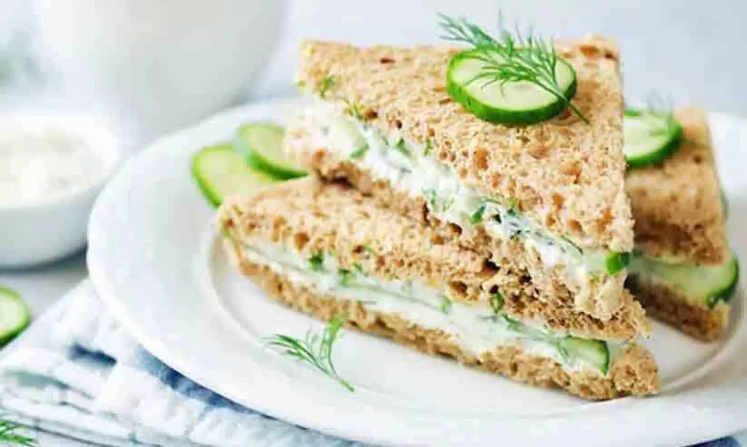 ബാഗിൽ സാൻഡ്‍വിച്ചുമായി യാത്ര ചെയ്തു; 77കാരിക്ക് ഒന്നരലക്ഷം രൂപ പിഴ