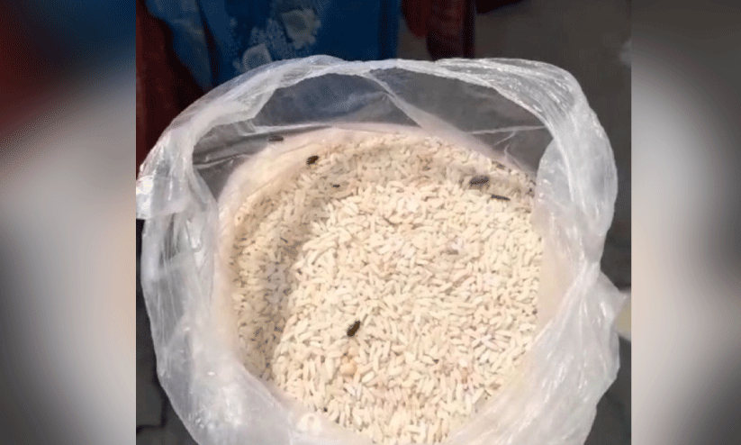 പുഴുവരിച്ച പച്ചരി: പരസ്പരം പഴിചാരി എഫ്.സി.ഐയും സപ്ലൈകോയും