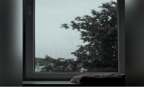 കവിത: ജാ​ല​ക​ങ്ങ​ൾ​ക്ക​പ്പു​റ​ത്തെ മ​ഴ