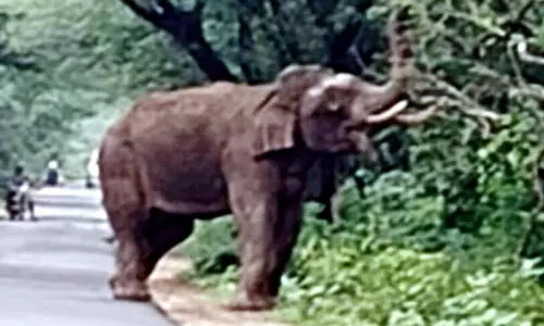 Ottakkomban Ottakkomban