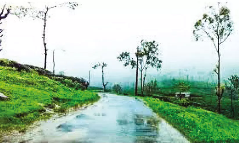 വിദഗ്ധ സംഘം നെല്ലിയാമ്പതി ചുരം റോഡ് സന്ദർശിച്ചു വിദഗ്ധ സംഘം നെല്ലിയാമ്പതി ചുരം റോഡ് സന്ദർശിച്ചു