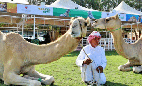 അ​ൽ മ​റാ​ഇ എ​ക്​​സി​ബി​ഷ​നി​ൽ ജ​ന​ത്തി​ര​ക്ക്​