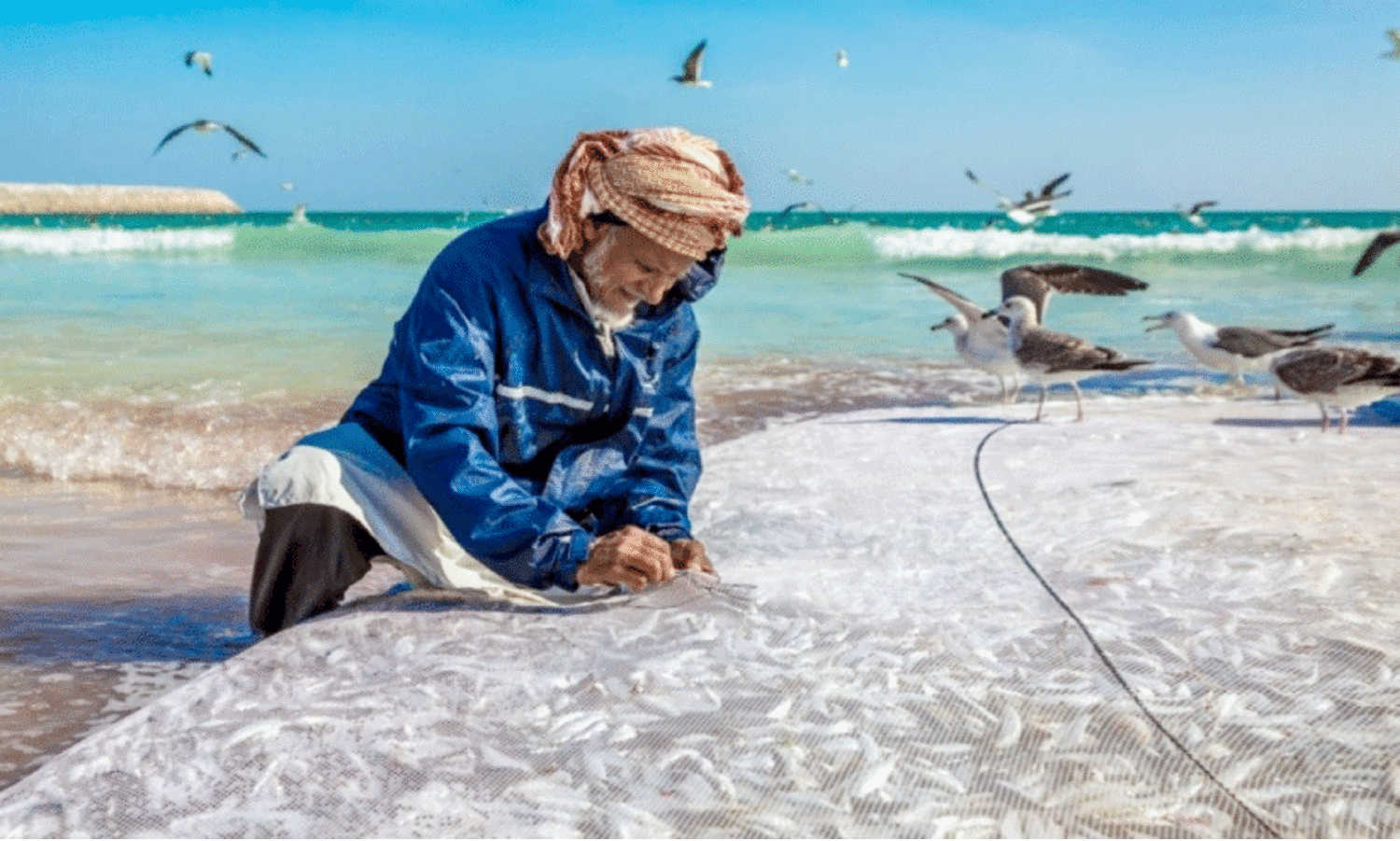 മ​ത്തി പി​ടി​ക്കു​ന്ന മ​ത്സ്യ​ത്തൊ​ഴി​ലാ​ളി