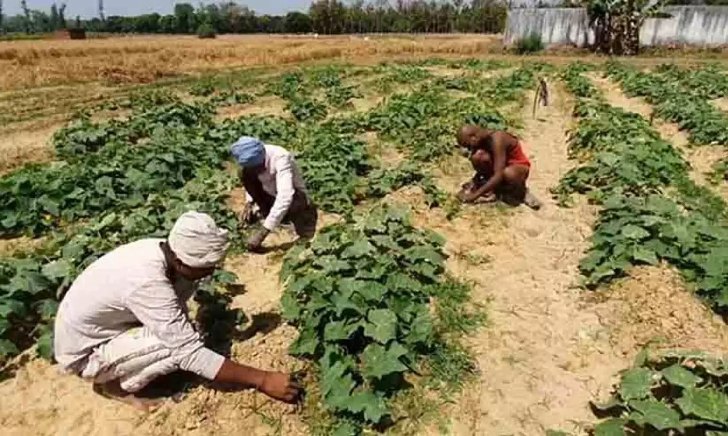 തെലങ്കാനയിൽ കർഷകർക്ക് ധനസഹായം; അനുമതി പിൻവലിച്ച് തെരഞ്ഞെടുപ്പ് കമ്മീഷൻ