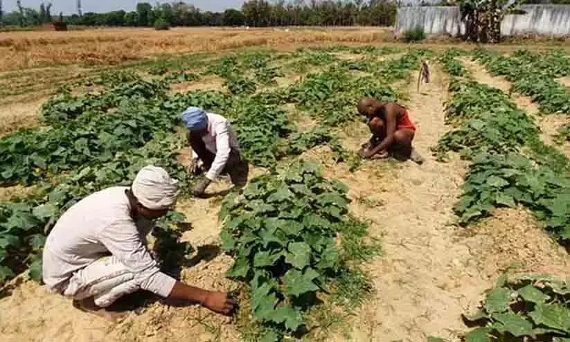 തെലങ്കാനയിൽ കർഷകർക്ക് ധനസഹായം; അനുമതി പിൻവലിച്ച് തെരഞ്ഞെടുപ്പ് കമ്മീഷൻ തെലങ്കാനയിൽ കർഷകർക്ക് ധനസഹായം; അനുമതി പിൻവലിച്ച് തെരഞ്ഞെടുപ്പ് കമ്മീഷൻ