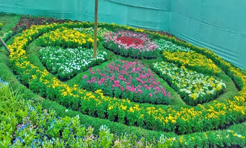 Flower Show In Kalpatta Flower Show In Kalpatta