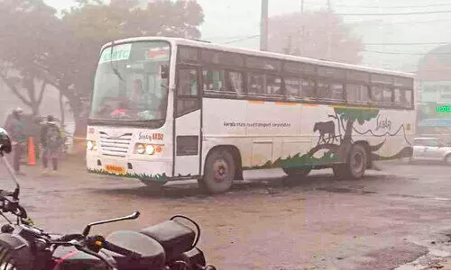 വഴിതെറ്റിയ ഉല്ലാസ ബസ് തമിഴ്നാട് അതിർത്തി കടന്നു പോയി