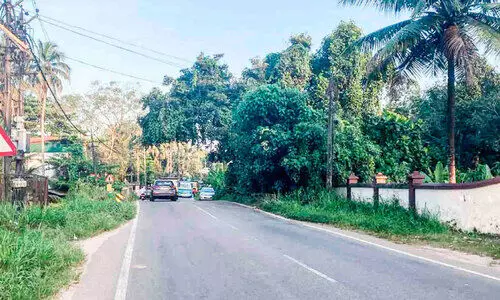 കാടുമൂടി പാറകാട്ടു പാലം കാടുമൂടി പാറകാട്ടു പാലം