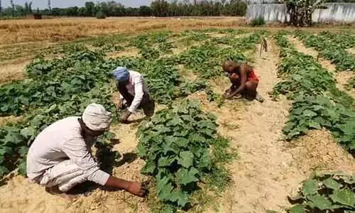 തെലങ്കാനയിൽ കർഷകർക്ക് ധനസഹായം; അനുമതി പിൻവലിച്ച് തെരഞ്ഞെടുപ്പ് കമ്മീഷൻ