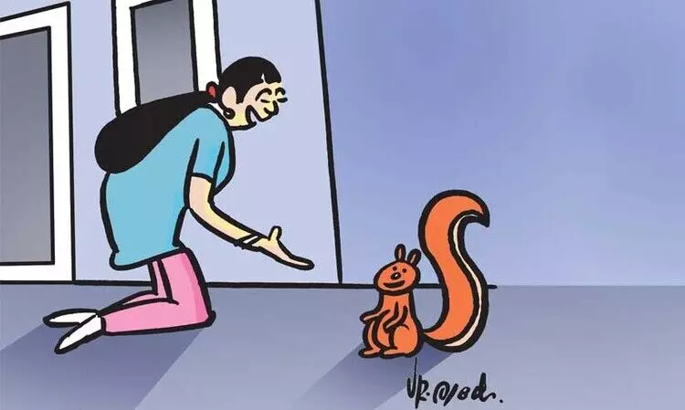 മൃഗസ്​​േനഹിയായ ഞാൻ...