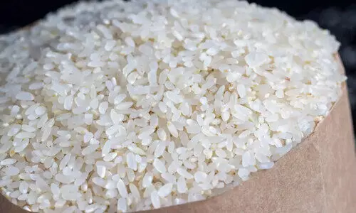 rice