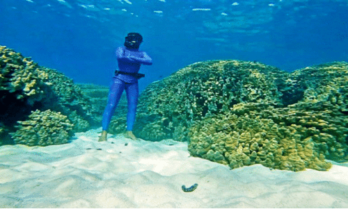 അ​ന്താ​രാ​ഷ്ട്ര പു​ര​സ്കാ​ര തി​ള​ക്ക​ത്തി​ൽ ഒ​മാ​നി സം​വി​ധാ​യ​ക​ൻ