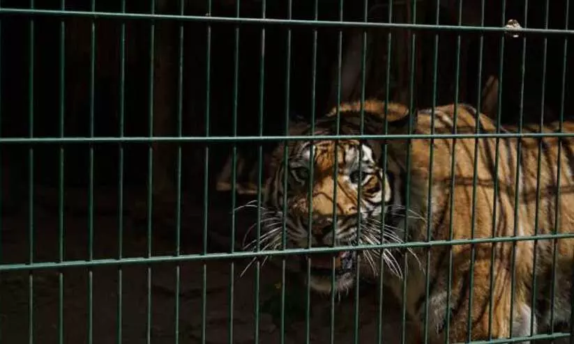 representational image representational image