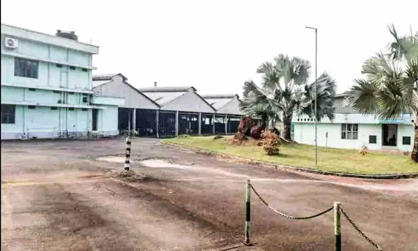 നടുക്കര പൈനാപ്പിൾ കമ്പനി നടുക്കര പൈനാപ്പിൾ കമ്പനി