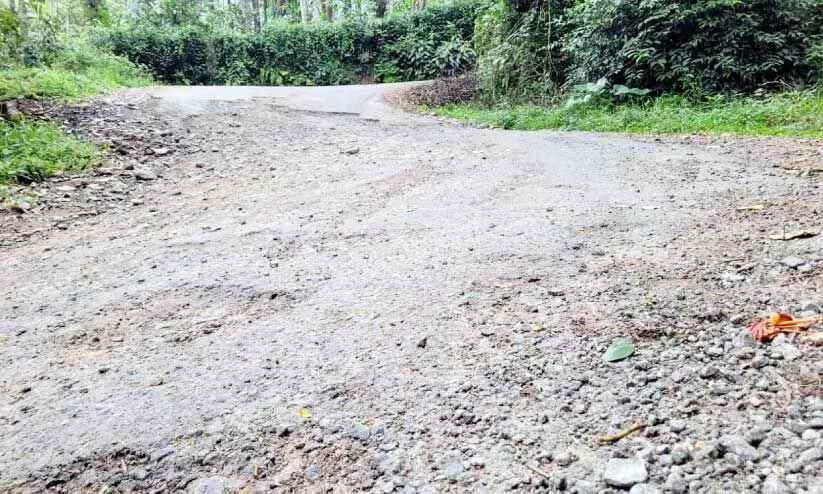 കാല്നടയാത്ര പോലും അസാധ്യമായ മന്നാക്കുടി- പാമ്പാടുംപാറ റോഡ് കാല്നടയാത്ര പോലും അസാധ്യമായ മന്നാക്കുടി- പാമ്പാടുംപാറ റോഡ്