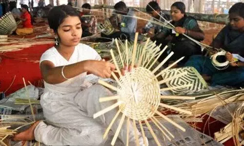 state school science fair