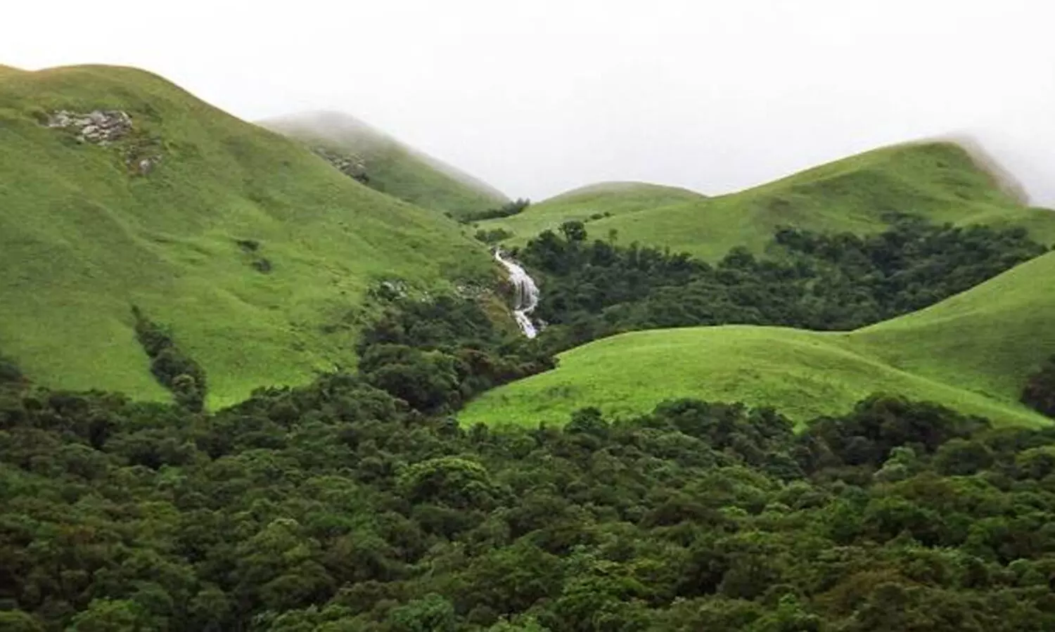 പശ്ചിമഘട്ട നീർച്ചാലുകൾ അടയാളപ്പെടുത്തൽ: ജില്ലാതല അവതരണം ശനിയാഴ്ച കോതമംഗലത്ത്