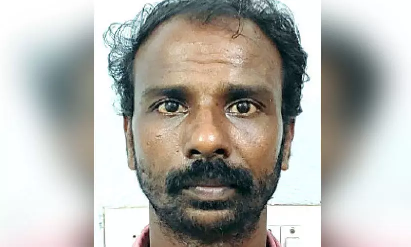 വിജു വിജു