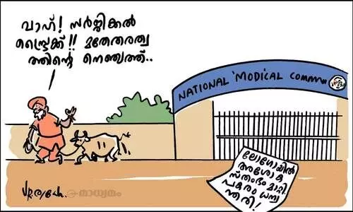 സർജിക്കൽ സ്ട്രൈക്ക്