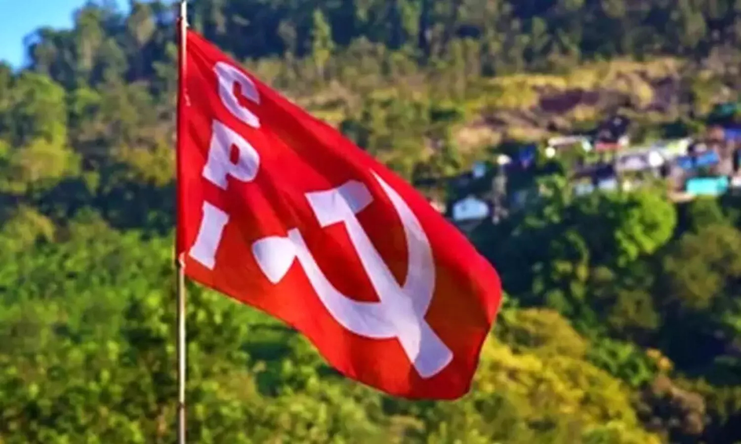 cpi flag
