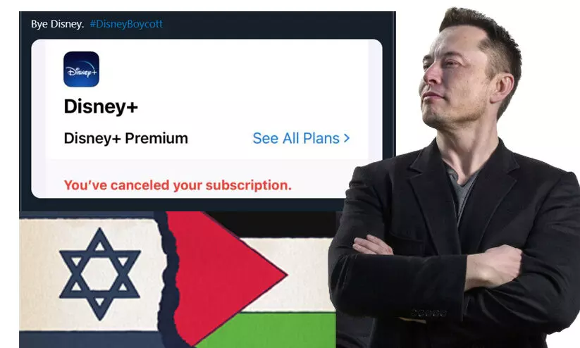 ഇലോൺ മസ്കിന് പിന്തുണ; ഡിസ്നി പ്ലസ് സബ്സ്ക്രിപ്ഷൻ ഒഴിവാക്കി ആളുകൾ, സംഭവമിതാണ്..!